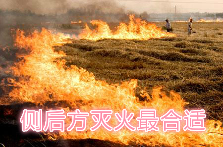 不要在風(fēng)頭上打火：風(fēng)正大，火正旺，最容易傷人；