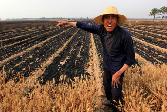 河南省滑縣、內(nèi)黃縣麥田著火，麥壟套種的花生、玉米苗也被烤焦，群眾損失慘重