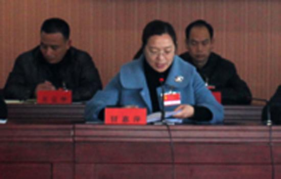 江蘇鄉(xiāng)黨委女書(shū)記辭官任上市公司副總 年薪70萬(wàn)