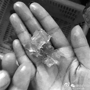 溫州市民買(mǎi)到“注膠蝦”業(yè)內(nèi)人稱為增加重量
