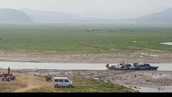 2015年10月27日，“冬季到湖區(qū)看草原”是近年來鄱陽湖生態(tài)濕地興起的旅游項(xiàng)目。江西省星子縣鄱陽湖邊，進(jìn)入枯水期的鄱陽湖，“草原”風(fēng)光已經(jīng)取代碧水連天，遠(yuǎn)處有牛群吃草。 新華社記者郭雅茹 攝