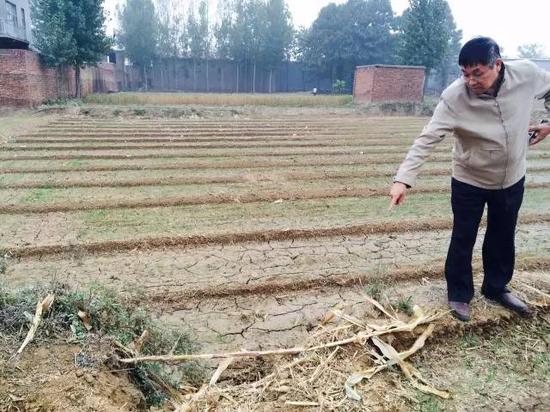 2015年10月20日，河北省柏鄉(xiāng)縣地下水超采區(qū)，地面沉降，大地出現(xiàn)8公里長的裂縫，最寬處有1米寬。農(nóng)民用土填上裂縫，但是一下雨又會塌陷。新華社記者郭雅茹 攝