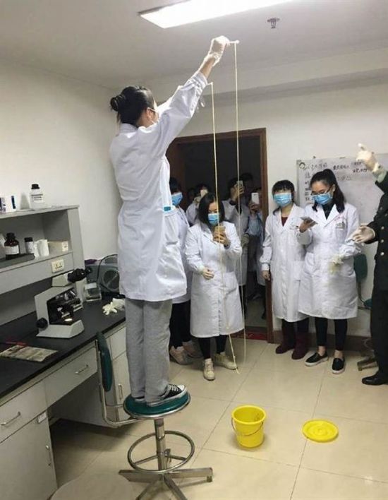 愛吃生肉惹的禍！男子體內(nèi)取出5米長寄生蟲(圖)