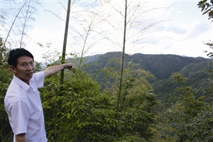 村民吳學(xué)田告訴記者，對面兩座山就是潘建友承包的部分山場 見習(xí)記者 邱一文 攝