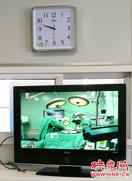 由于扎入大龍顱內(nèi)的針位置較深，所以經(jīng)過(guò)七次定位才取出,圖為監(jiān)視器中手術(shù)場(chǎng)景