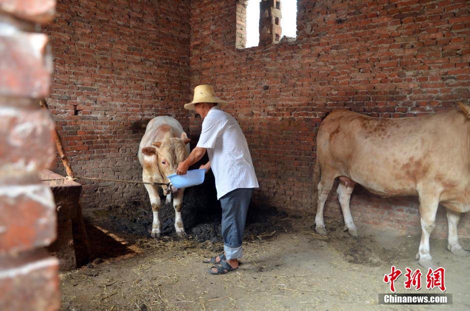同時(shí)，地下水位的持續(xù)下降以及部分山泉水的干涸，已造成全縣2.85萬人和2000頭大牲畜出現(xiàn)飲水困難。