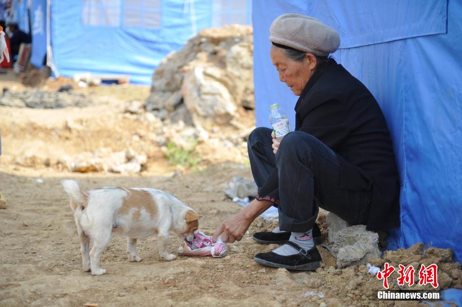 8月6日，一名老人將剛領(lǐng)到的礦泉水分給小狗。