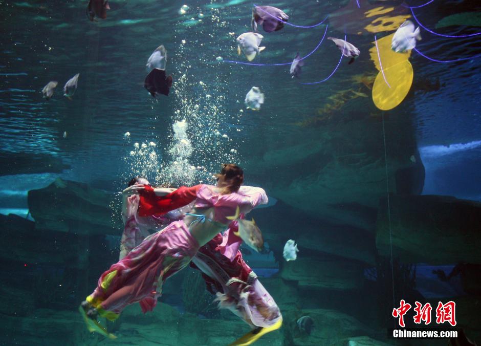 9月7日，在中秋節(jié)到來前一天，山東泉城海洋極地世界為游客帶來“嫦娥水中奔月”表演。