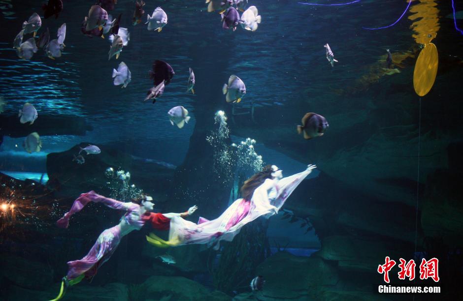 9月7日，在中秋節(jié)到來前一天，山東泉城海洋極地世界為游客帶來“嫦娥水中奔月”表演。