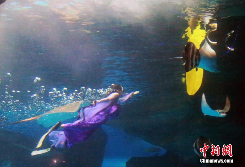 9月7日，在中秋節(jié)到來前一天，山東泉城海洋極地世界為游客帶來“嫦娥水中奔月”表演。