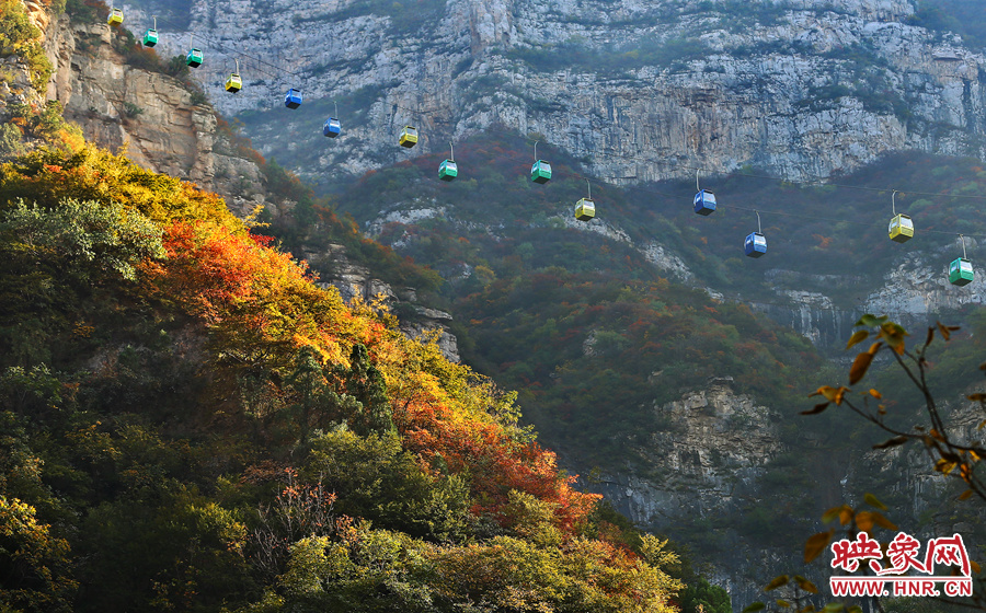 索道下的山坡，陽(yáng)光灑在色彩繽紛的樹葉上