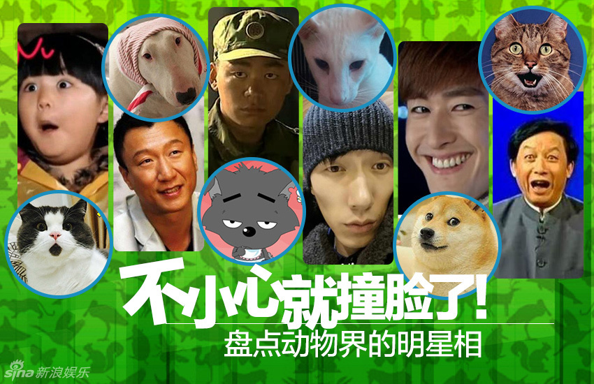 不小心就撞臉了！盤點(diǎn)動(dòng)物界的明星相
