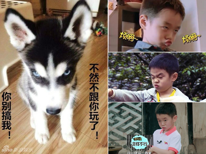 不小心就撞臉了！盤點(diǎn)動(dòng)物界的明星相