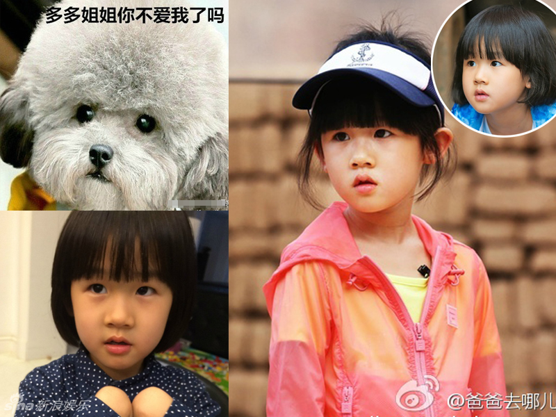 不小心就撞臉了！盤點(diǎn)動(dòng)物界的明星相