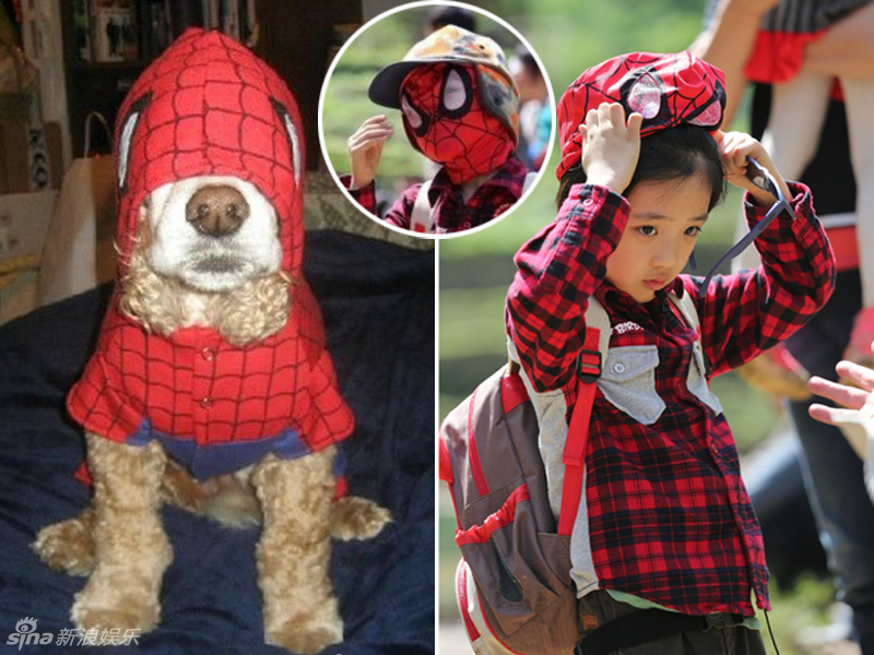 不小心就撞臉了！盤點(diǎn)動(dòng)物界的明星相