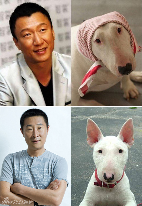 不小心就撞臉了！盤點(diǎn)動(dòng)物界的明星相