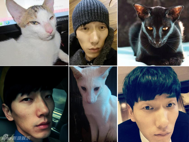 不小心就撞臉了！盤點(diǎn)動(dòng)物界的明星相