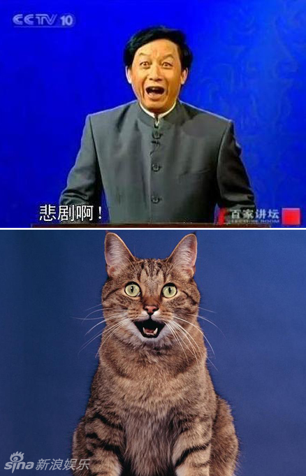 不小心就撞臉了！盤點(diǎn)動(dòng)物界的明星相