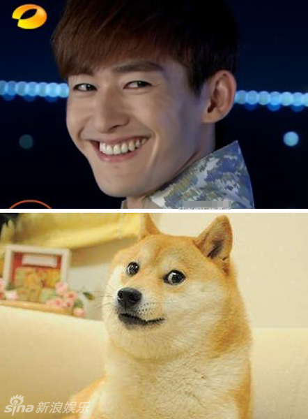 不小心就撞臉了！盤點(diǎn)動(dòng)物界的明星相