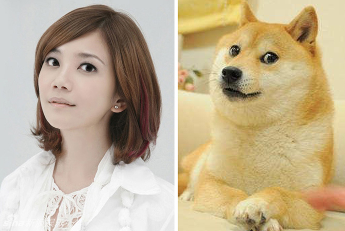 不小心就撞臉了！盤點(diǎn)動(dòng)物界的明星相