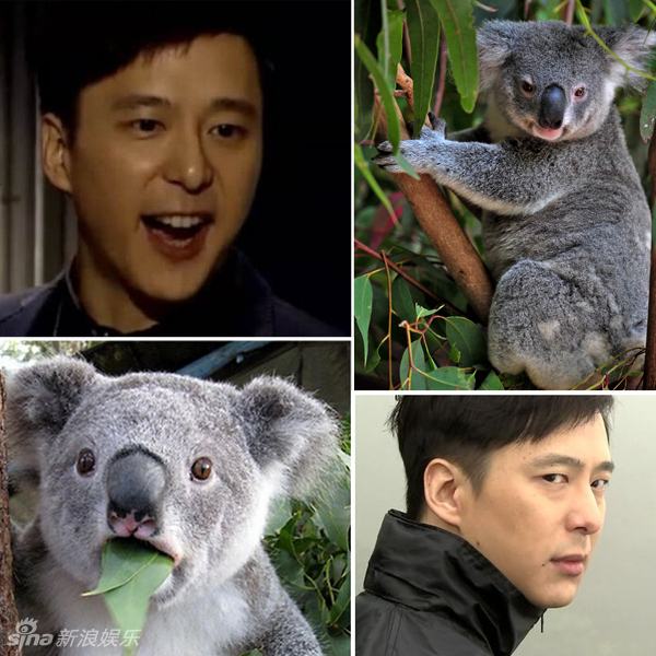 不小心就撞臉了！盤點(diǎn)動(dòng)物界的明星相