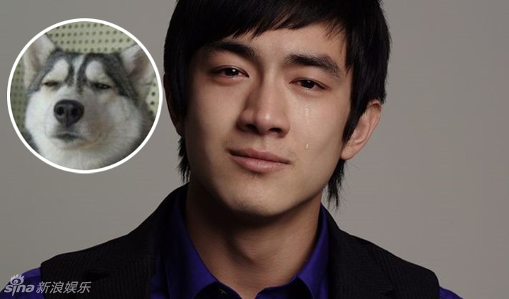 不小心就撞臉了！盤點(diǎn)動(dòng)物界的明星相