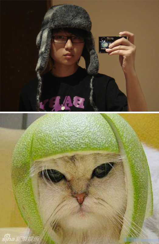 不小心就撞臉了！盤點(diǎn)動(dòng)物界的明星相