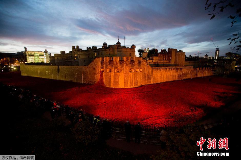 當(dāng)?shù)貢r間2014年11月10日，英國倫敦，倫敦塔周邊“種植”了888246朵陶瓷材質(zhì)的罌粟花，以此紀