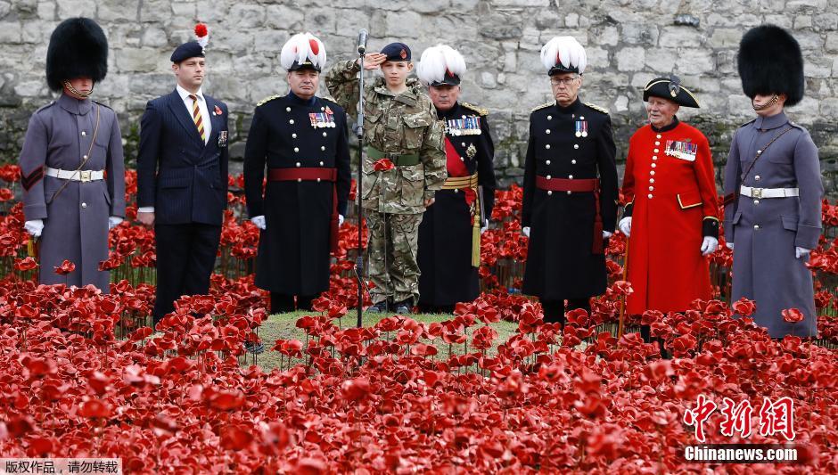 當(dāng)?shù)貢r間2014年11月10日，英國倫敦，倫敦塔周邊“種植”了888246朵陶瓷材質(zhì)的罌粟花，以此紀