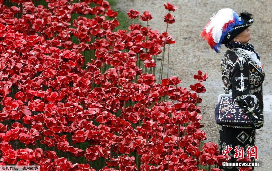 當(dāng)?shù)貢r間2014年11月10日，英國倫敦，倫敦塔周邊“種植”了888246朵陶瓷材質(zhì)的罌粟花，以此紀