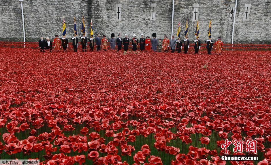 當(dāng)?shù)貢r間2014年11月10日，英國倫敦，倫敦塔周邊“種植”了888246朵陶瓷材質(zhì)的罌粟花，以此紀