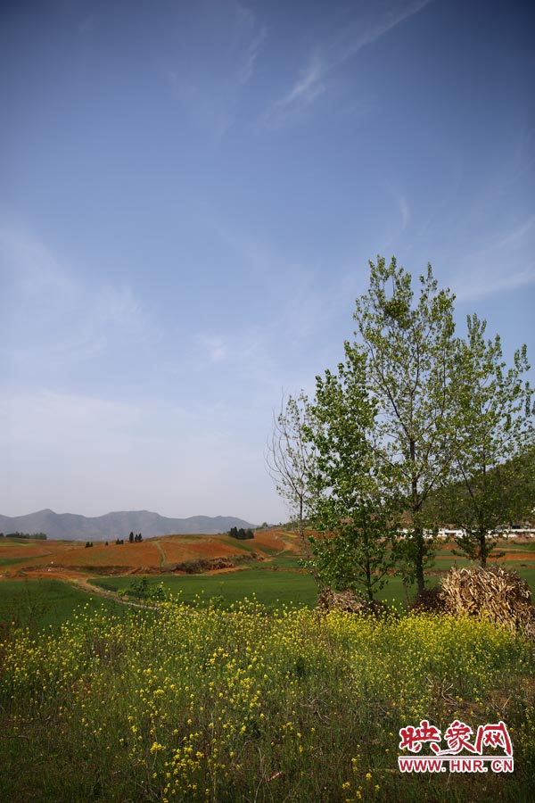 庫區(qū)的藍天、白云、綠樹、黃花給人清新的享受