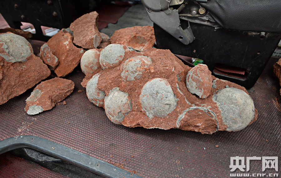 其中完整的19枚，都是直徑約13厘米的“大個(gè)子”。