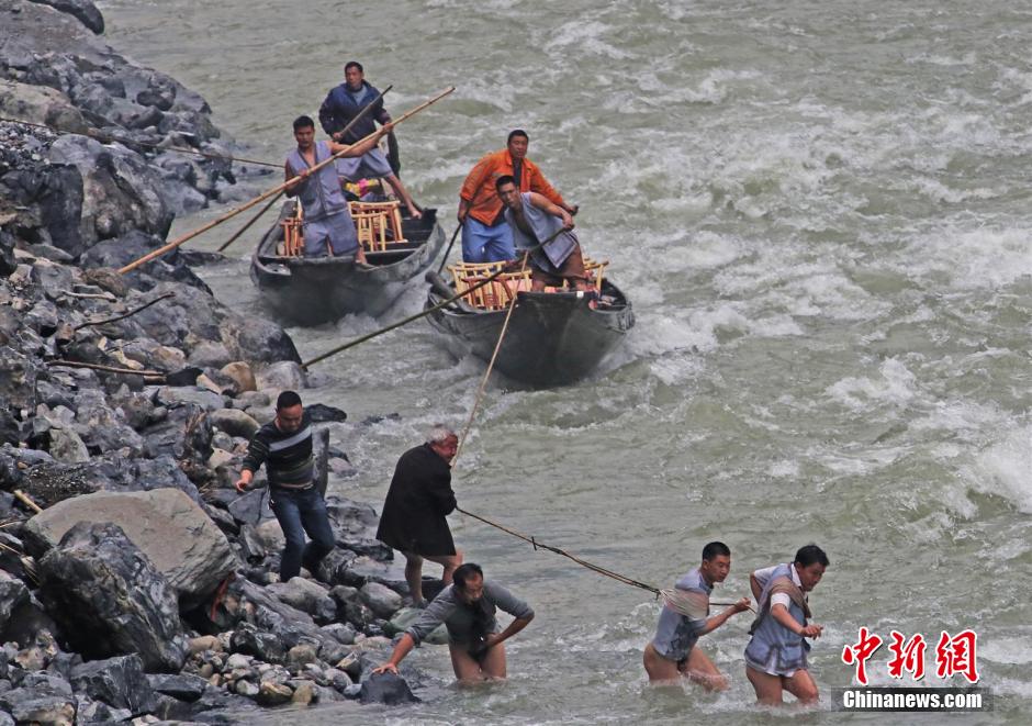 纖夫在神農(nóng)溪畔牽引木船溯溪而上。