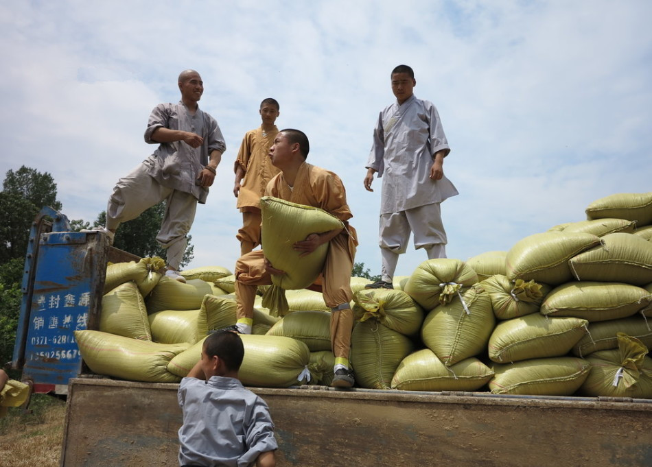 武僧將打包后的糧食集中至運輸車輛上。