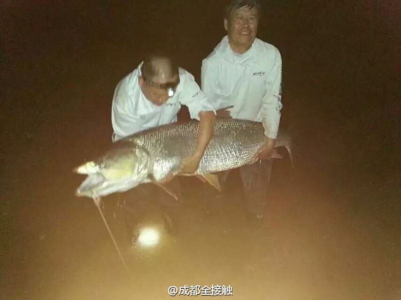 圖為大魚需要兩個(gè)人抱起。