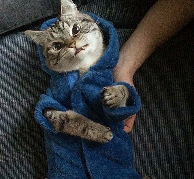 身穿浴袍的Loki好像看起來也沒那么兇哦。