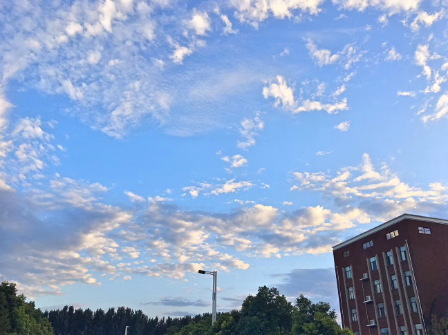 又被鄭州的藍(lán)天刷屏！隨便一拍就是手機(jī)壁紙