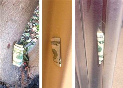 “隱藏的鈔票”會被神秘人藏在公園、廁所等“奇怪的地方”。