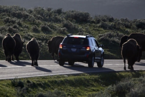 警方已經(jīng)派出大量工作人員、警犬和飛行器在當?shù)卣归_搜尋