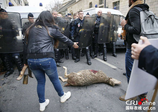 　　當(dāng)?shù)貢r(shí)間2014年11月27日，法國(guó)巴黎，法國(guó)農(nóng)民帶綿羊在埃菲爾鐵塔附近抗議，要求環(huán)保部門采取有效措施解決狼群襲擊羊群?jiǎn)栴}?！D片來(lái)源：TRICK KOVARIK/CFP