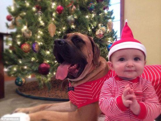 圖為美國(guó)2歲大的寵物犬與主人9個(gè)月大的女?huà)搿D片來(lái)源：臉譜網(wǎng)站（Facebook）。