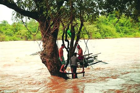 蓋屋、種菜，“從沒這樣快樂”