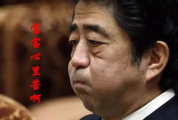 這種看安倍“熱鬧”的事兒，環(huán)環(huán)絕不私藏，一定雨露均沾!