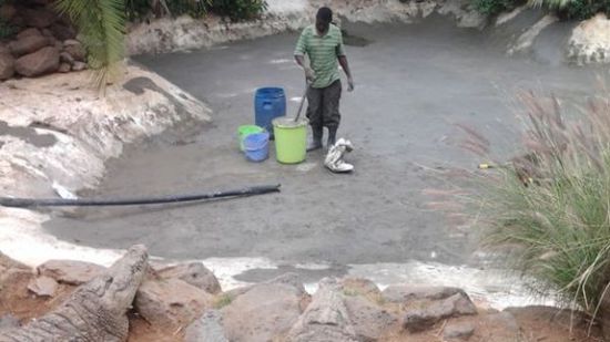 穆克的養(yǎng)殖場，鱷視眈眈下的工作人員。