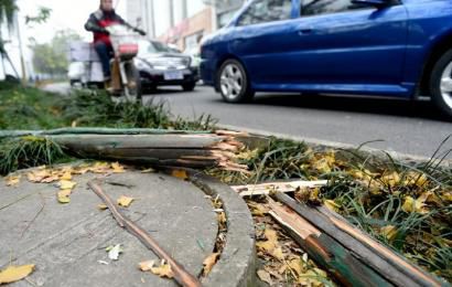 事發(fā)現(xiàn)場，嫌疑車輛撞壞的木樁。