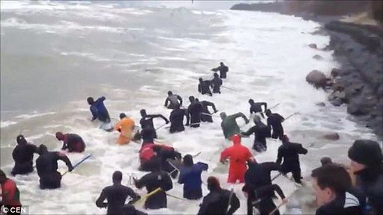 一場暴雨后，俄羅斯加里寧格勒Pionersky鎮(zhèn)，數(shù)十人潛入海水中搜尋琥珀。