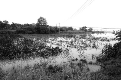 現(xiàn)場(chǎng)圖