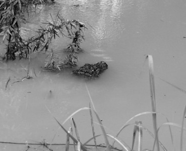 現(xiàn)場(chǎng)圖