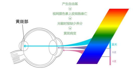 真能亮瞎眼？如何減少手機(jī)對眼睛的傷害